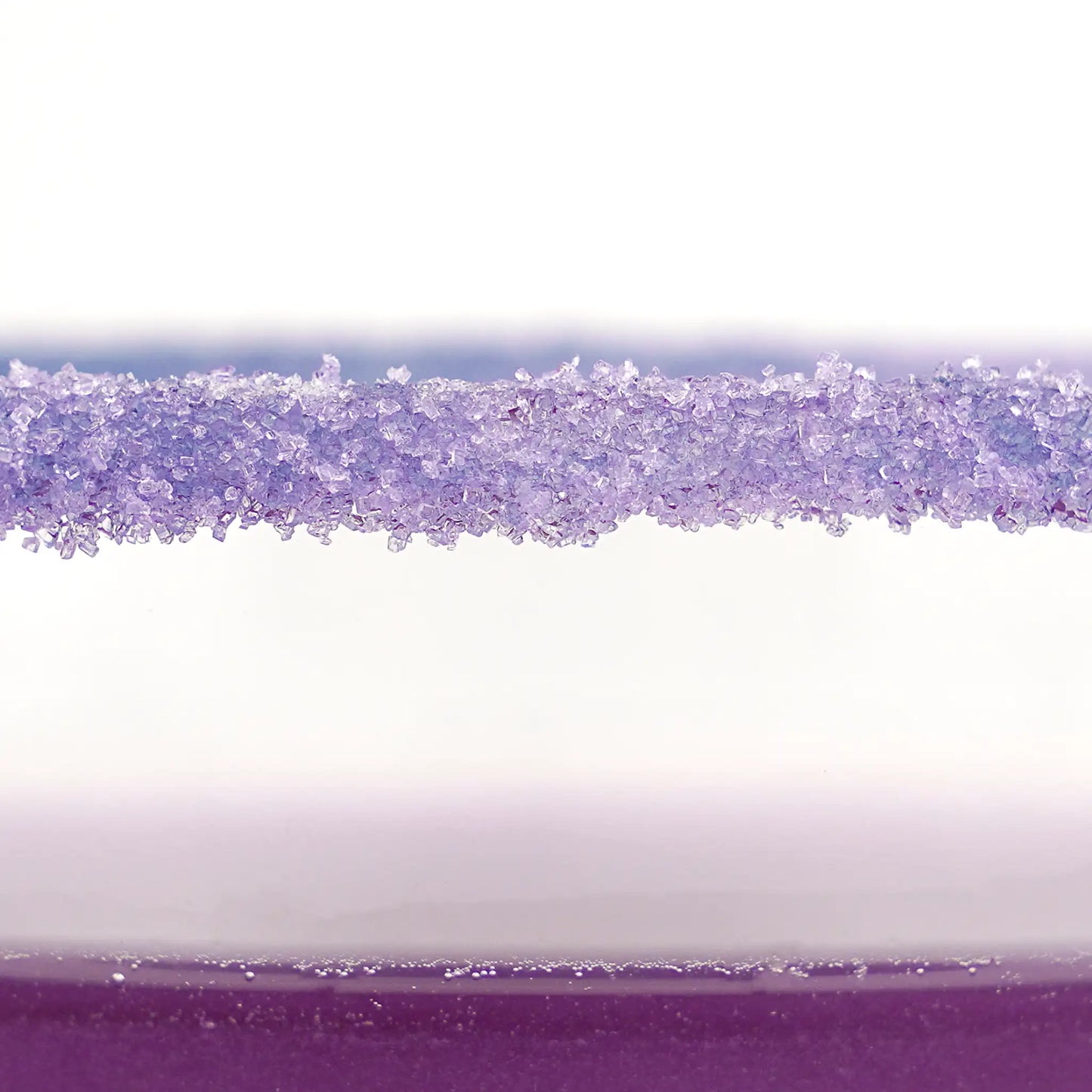 FINE SUGAR LILAC